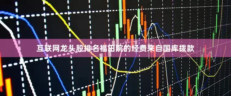 互联网龙头股排名福田院的经费来自国库拨款