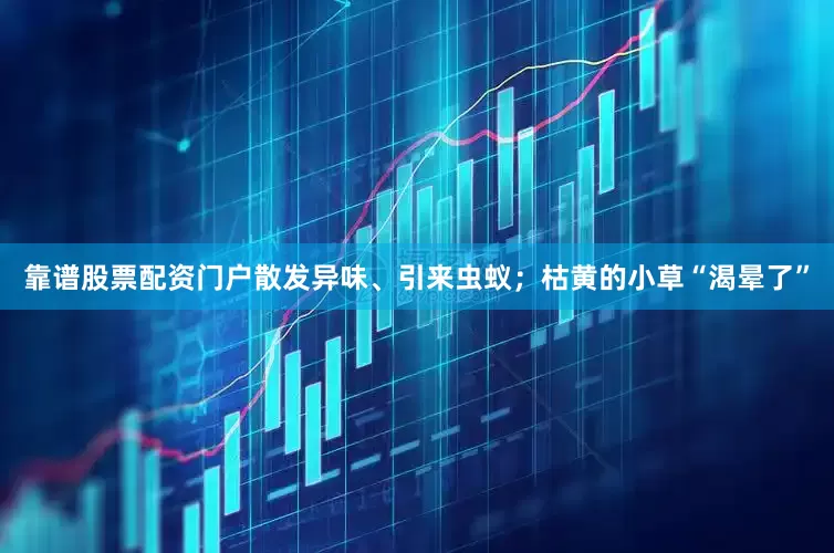 靠谱股票配资门户散发异味、引来虫蚁；枯黄的小草“渴晕了”